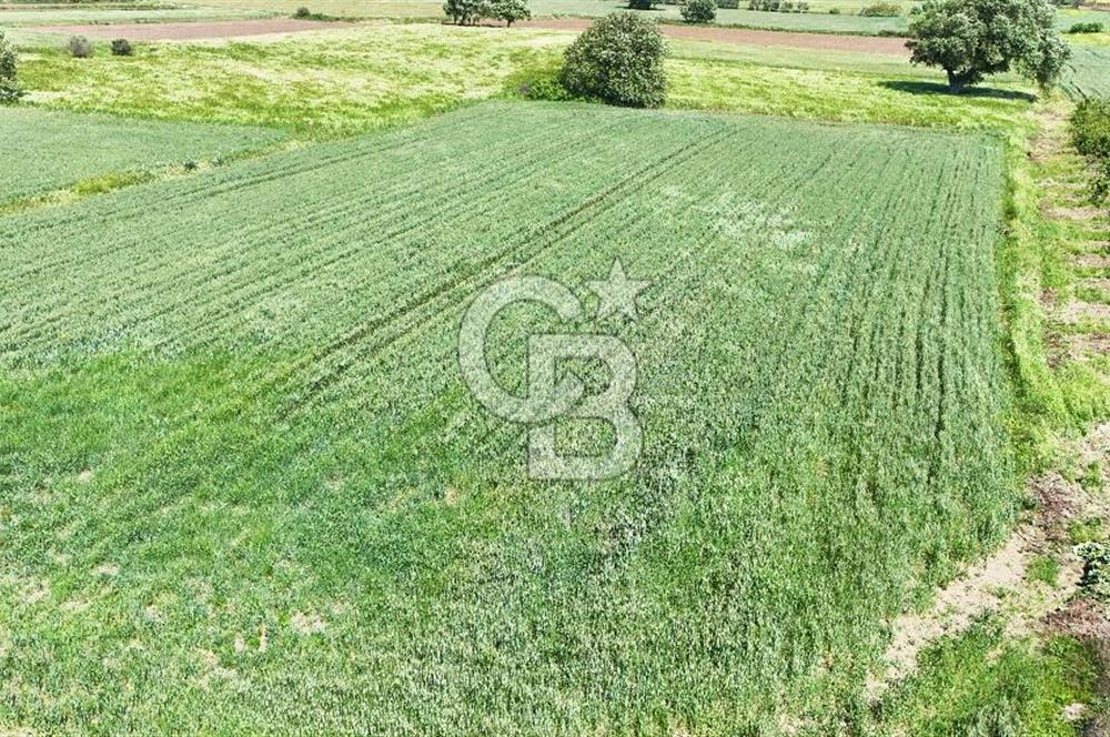 Çanakkale Merkez Karacaören de Boğaz Manzaralı Satılık Tarla