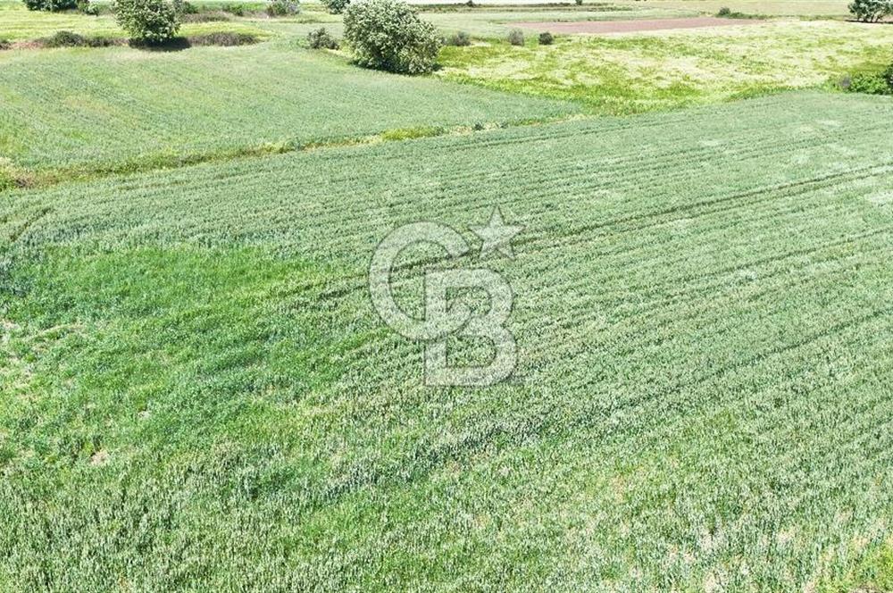 Çanakkale Merkez Karacaören de Boğaz Manzaralı Satılık Tarla