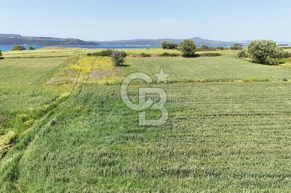 Çanakkale Merkez Karacaören de Boğaz Manzaralı Satılık Tarla