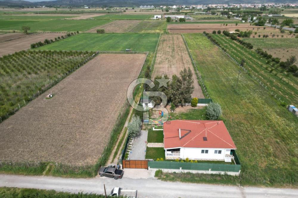  Ayvalık Altınova'da Hayallerinizdeki Çiftlik Evi 