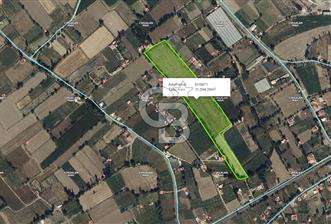 HARİKALAR DİYARI ARKASI ETRAFI DOLMUŞ EN SON KALAN TARLA EŞŞİZ