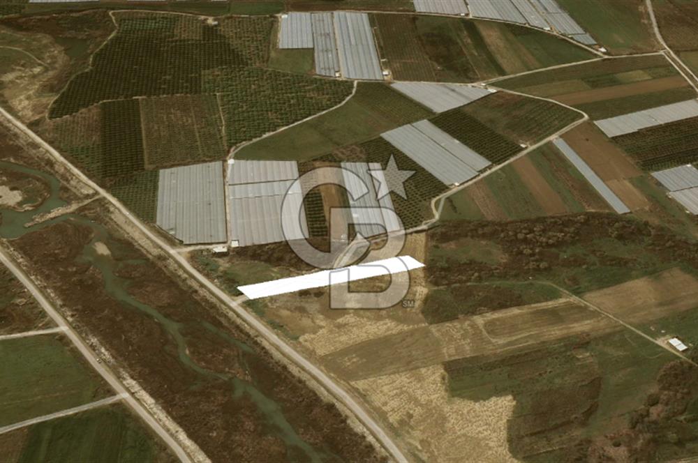 AKSU DUMANLAR 4052 M2 SATILIK TARLA