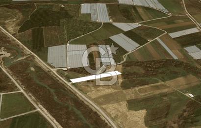 AKSU DUMANLAR 4052 M2 SATILIK TARLA