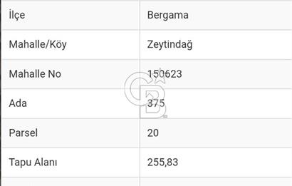 BERGAMA ZEYTİNDAĞDA MÜSTAKİL TAPULU SATILIK ZEYTİNLİK