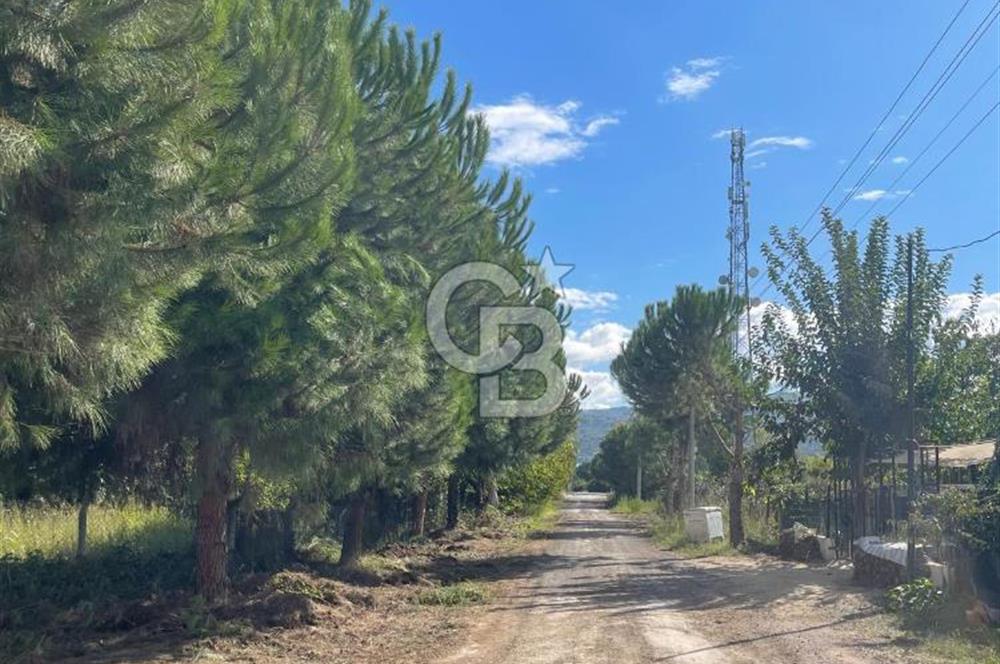 KAYTAZDERE SARALKENT PLAJI SATILIK 3+1 (GÜLCEHATUN SİRESİ)