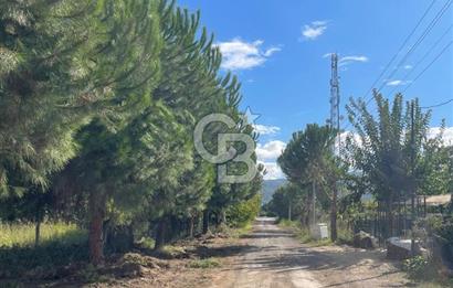 KAYTAZDERE SARALKENT PLAJI SATILIK 3+1 (GÜLCEHATUN SİRESİ)