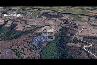 CB KiNG'DEN MANYAS DURA MAHALLESİNDE 16.550 M2 SATILIK TARLA - 1 - 275028
