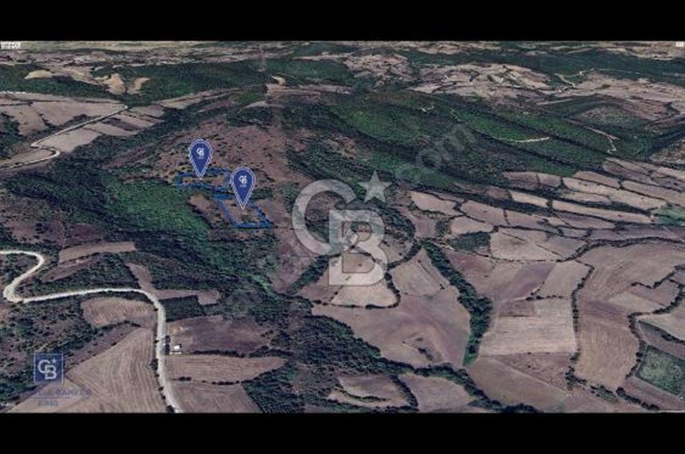 CB KiNG'DEN MANYAS DURA MAHALLESİNDE 16.550 M2 SATILIK TARLA