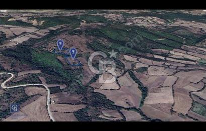 CB KiNG'DEN MANYAS DURA MAHALLESİNDE 16.550 M2 SATILIK TARLA