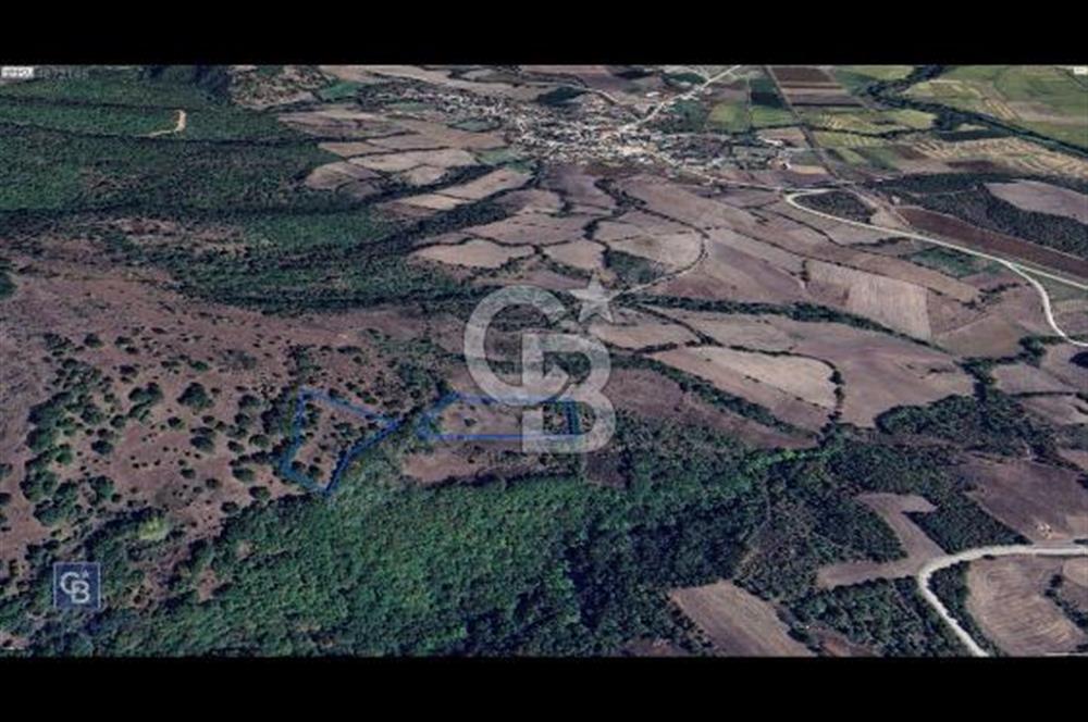 CB KiNG'DEN MANYAS DURA MAHALLESİNDE 16.550 M2 SATILIK TARLA