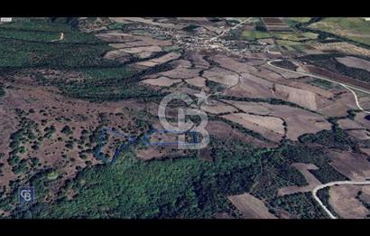 CB KiNG'DEN MANYAS DURA MAHALLESİNDE 16.550 M2 SATILIK TARLA