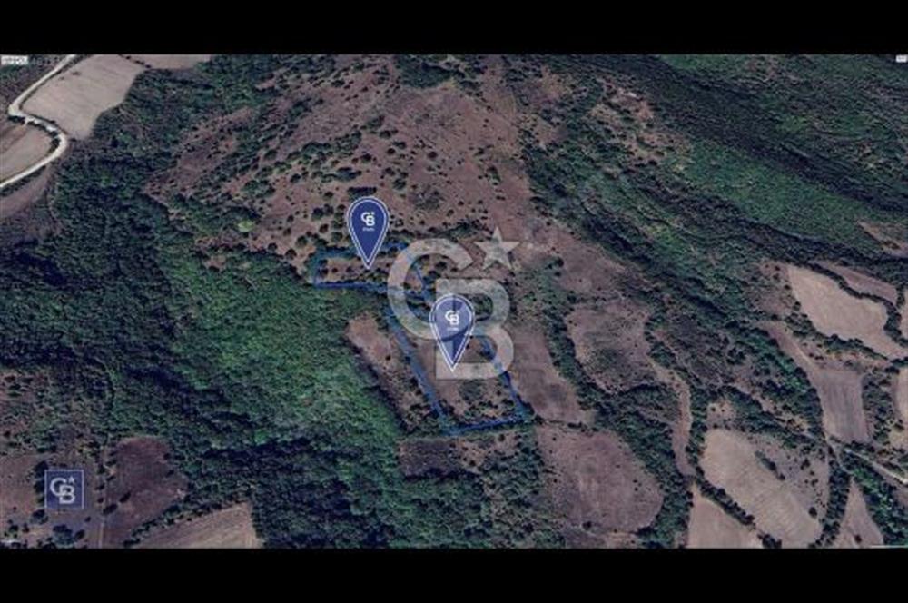 CB KiNG'DEN MANYAS DURA MAHALLESİNDE 16.550 M2 SATILIK TARLA