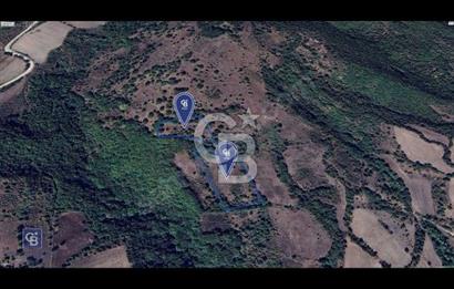 CB KiNG'DEN MANYAS DURA MAHALLESİNDE 16.550 M2 SATILIK TARLA