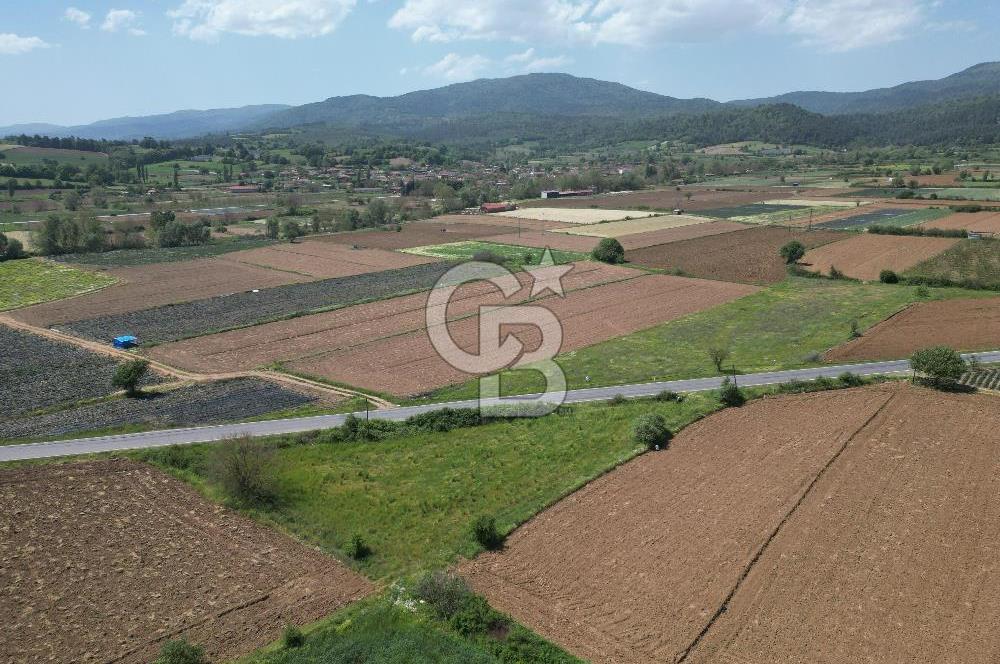 Çanakkale Yenice Hamdibey Köyünde Anayola Cephe Satılık 1790 M²
