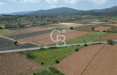 Çanakkale Yenice Hamdibey Köyünde Anayola Cephe Satılık 1790 M²