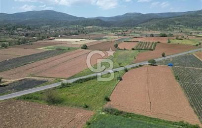 Çanakkale Yenice Hamdibey Köyünde Anayola Cephe Satılık 1790 M²