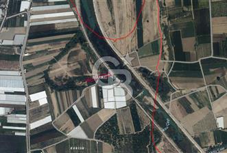 AKSU DUMANLAR 4052 M2 SATILIK TARLA
