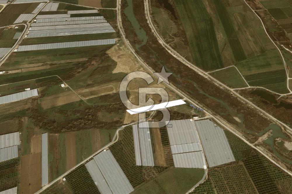 AKSU DUMANLAR 4052 M2 SATILIK TARLA