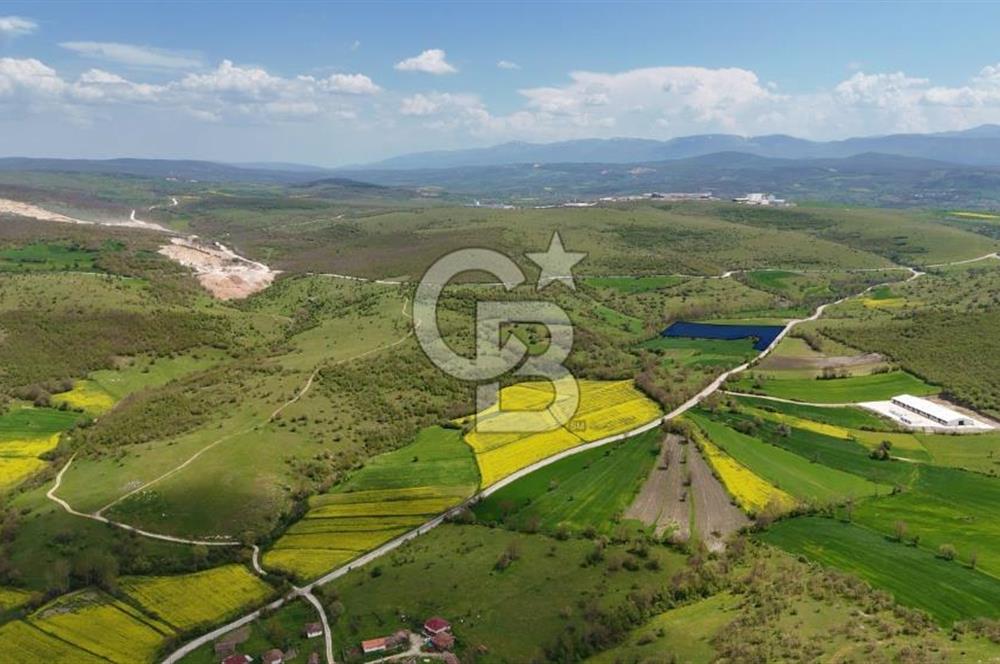 KARAMEŞE KEFEKLİ MEVKİİNDE YOLA CEPHE FIRSAT SATILIK TARLA 