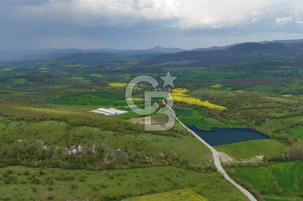 KARAMEŞE KEFEKLİ MEVKİİNDE YOLA CEPHE FIRSAT SATILIK TARLA 