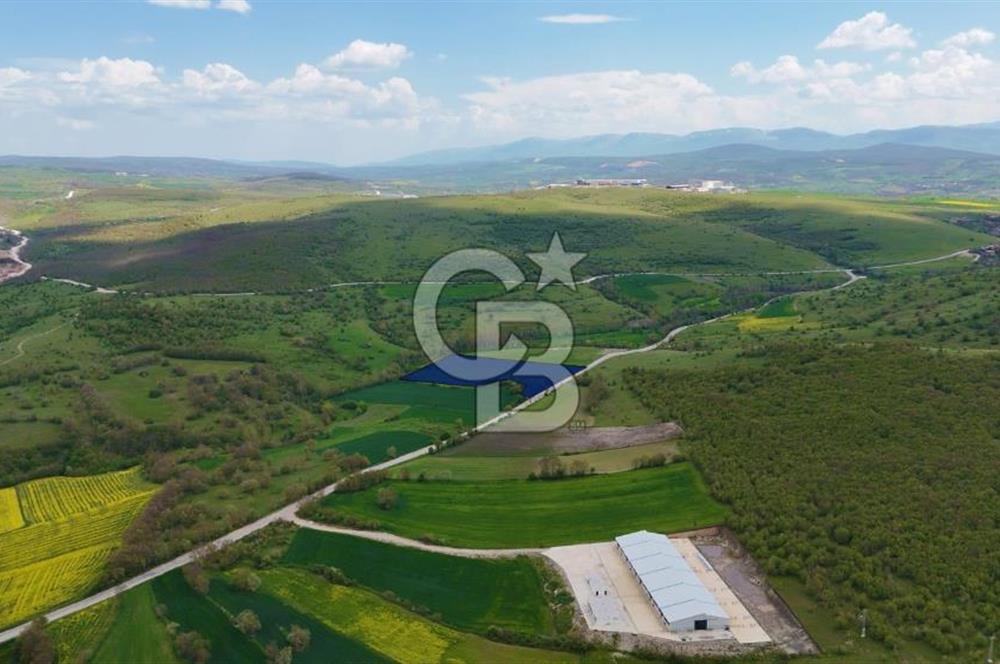 KARAMEŞE KEFEKLİ MEVKİİNDE YOLA CEPHE FIRSAT SATILIK TARLA 