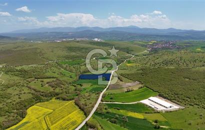 KARAMEŞE KEFEKLİ MEVKİİNDE YOLA CEPHE FIRSAT SATILIK TARLA 
