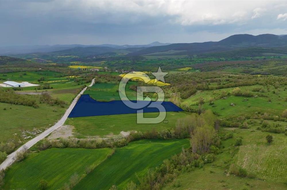 KARAMEŞE KEFEKLİ MEVKİİNDE YOLA CEPHE FIRSAT SATILIK TARLA 