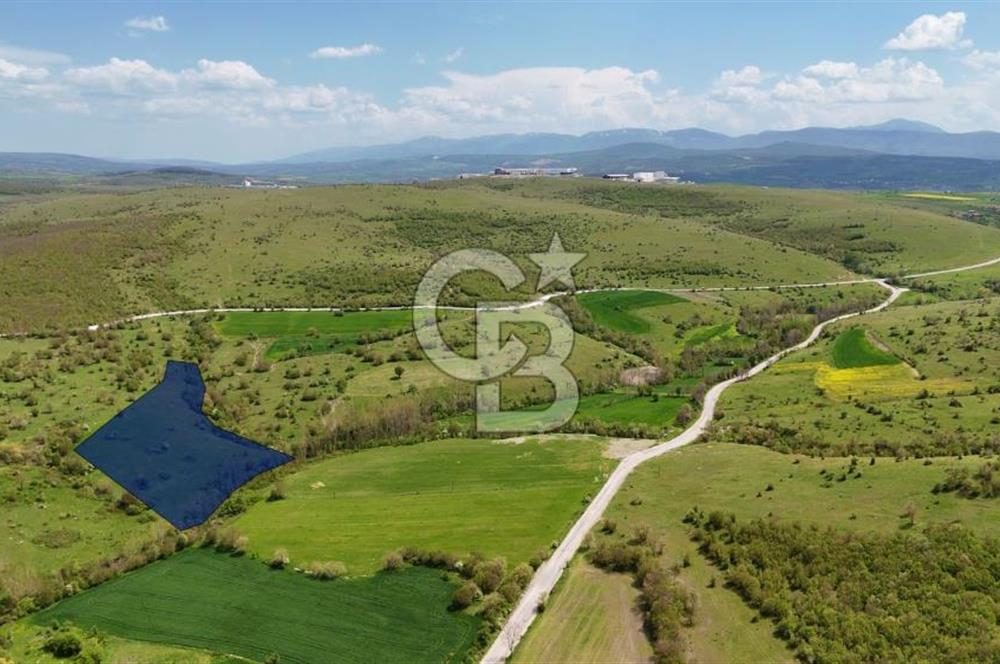 KARAMEŞE DE GELECEĞİ ŞİMDİDEN YAKALAYACAĞINIZ FIRSAT TARLA