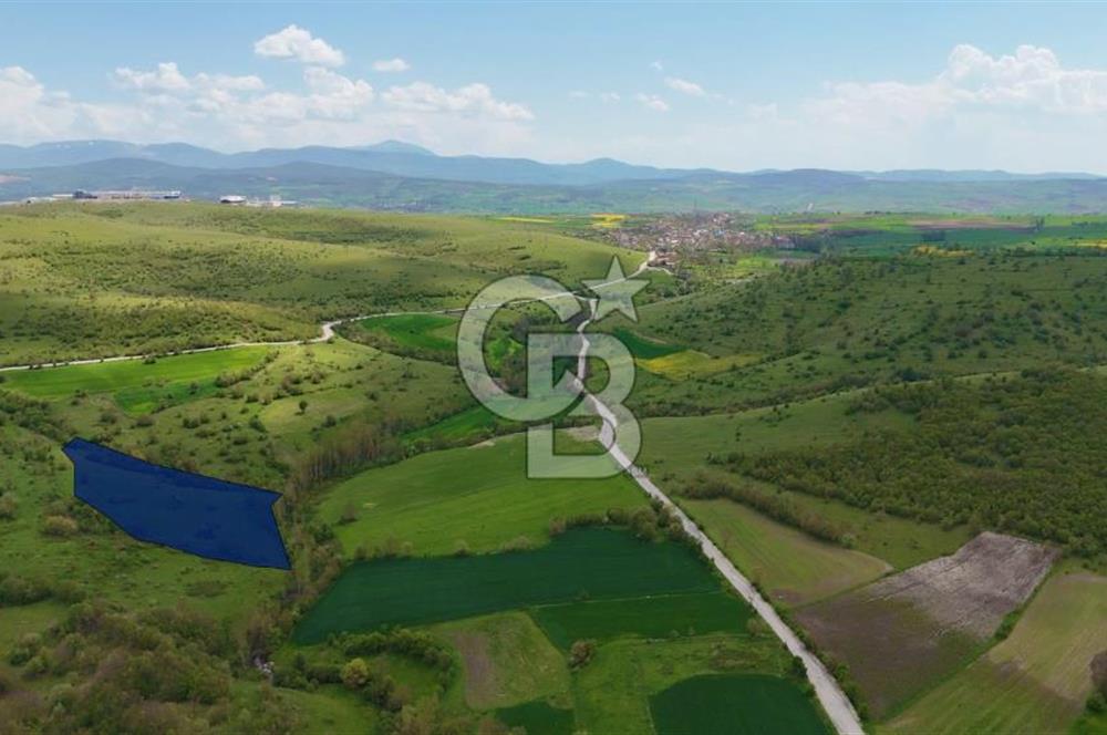 KARAMEŞE DE GELECEĞİ ŞİMDİDEN YAKALAYACAĞINIZ FIRSAT TARLA