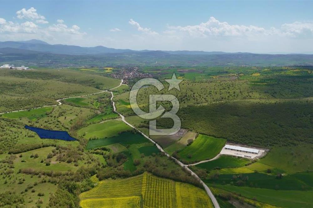 KARAMEŞE DE GELECEĞİ ŞİMDİDEN YAKALAYACAĞINIZ FIRSAT TARLA