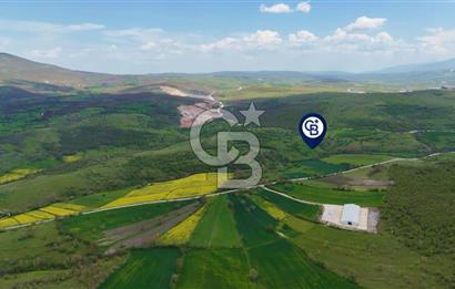 KARAMEŞE DE GELECEĞİ ŞİMDİDEN YAKALAYACAĞINIZ FIRSAT TARLA