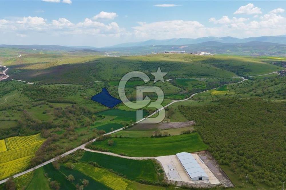 KARAMEŞE DE GELECEĞİ ŞİMDİDEN YAKALAYACAĞINIZ FIRSAT TARLA