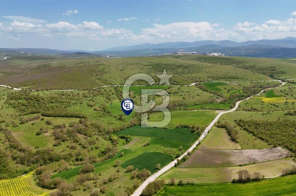 KARAMEŞE DE GELECEĞİ ŞİMDİDEN YAKALAYACAĞINIZ FIRSAT TARLA