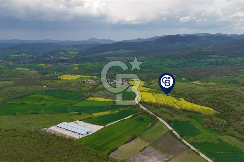HAVZA'NIN GELİŞEN BÖLGESİNDE SATILIK TARLA 