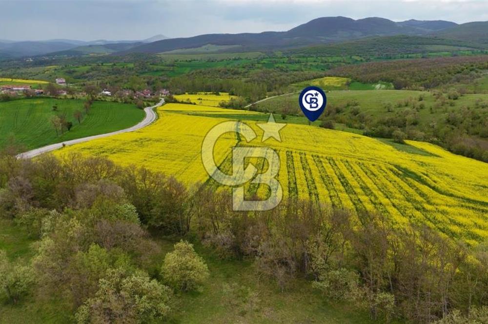 HAVZA'NIN GELİŞEN BÖLGESİNDE SATILIK TARLA 