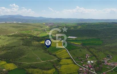 HAVZA'NIN GELİŞEN BÖLGESİNDE SATILIK TARLA 