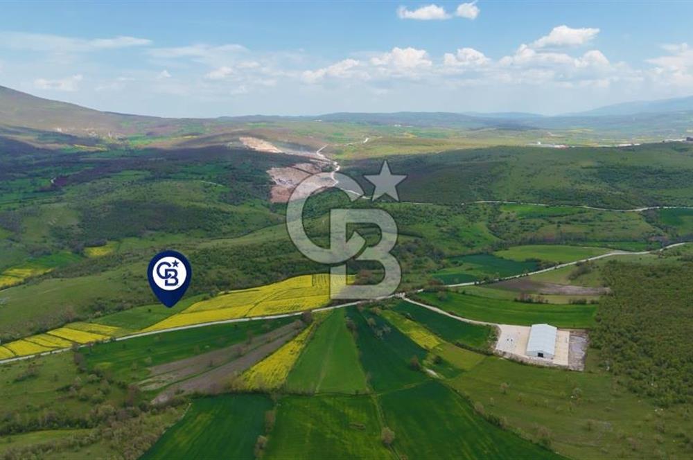 HAVZA'NIN GELİŞEN BÖLGESİNDE SATILIK TARLA 