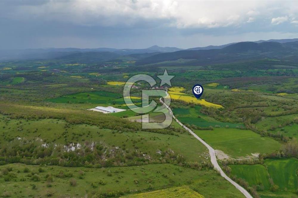 HAVZA'NIN GELİŞEN BÖLGESİNDE SATILIK TARLA 