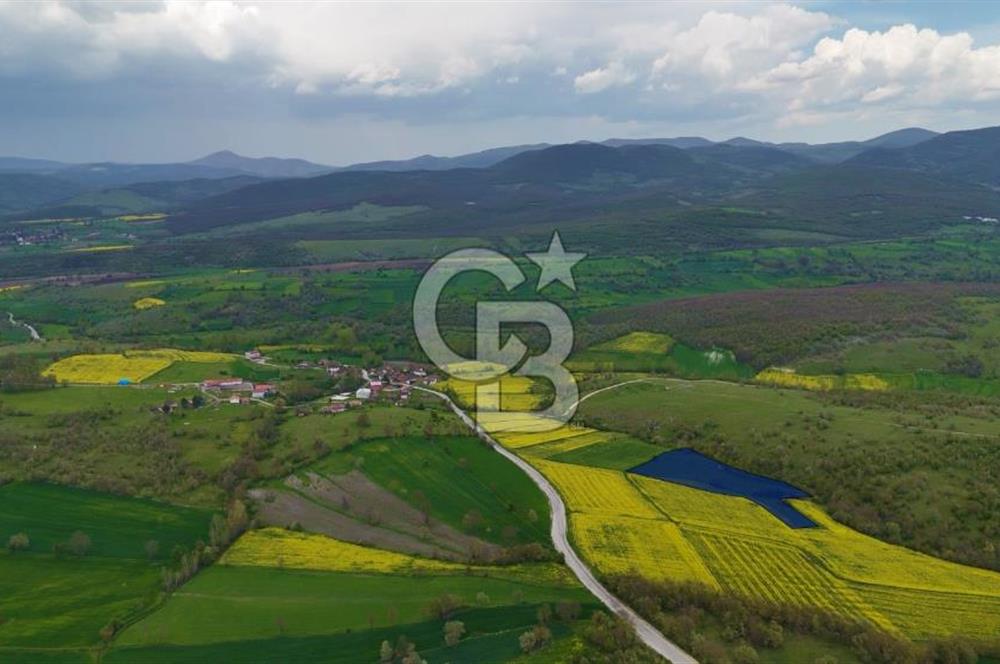 HAVZA'NIN GELİŞEN BÖLGESİNDE SATILIK TARLA 