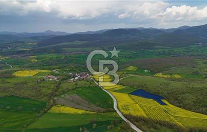 HAVZA'NIN GELİŞEN BÖLGESİNDE SATILIK TARLA 