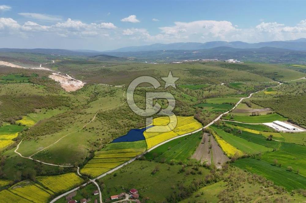 HAVZA'NIN GELİŞEN BÖLGESİNDE SATILIK TARLA 