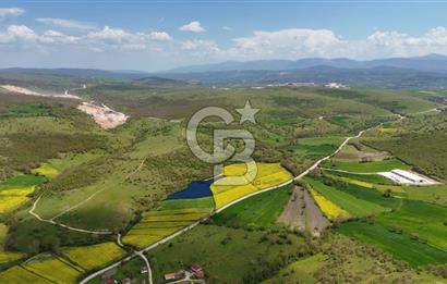 HAVZA'NIN GELİŞEN BÖLGESİNDE SATILIK TARLA 