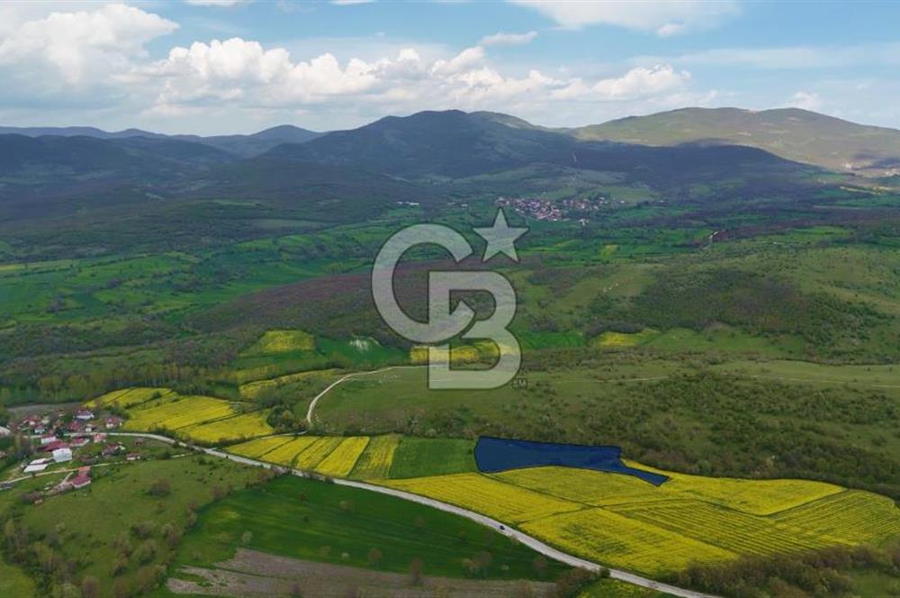 HAVZA'NIN GELİŞEN BÖLGESİNDE SATILIK TARLA 