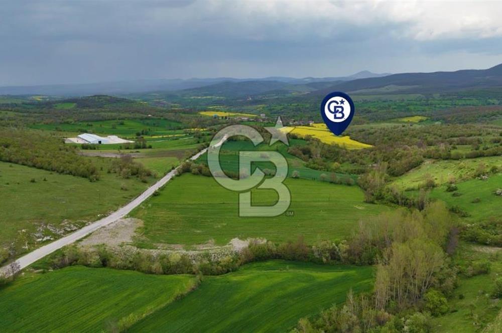 HAVZA'NIN GELİŞEN BÖLGESİNDE SATILIK TARLA 