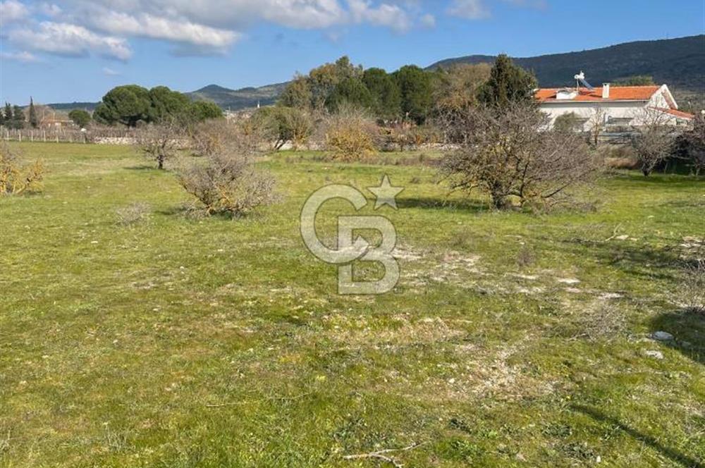 Urla Barbaros Köy içi Ata Miras Satılık   585 M2 Tarla