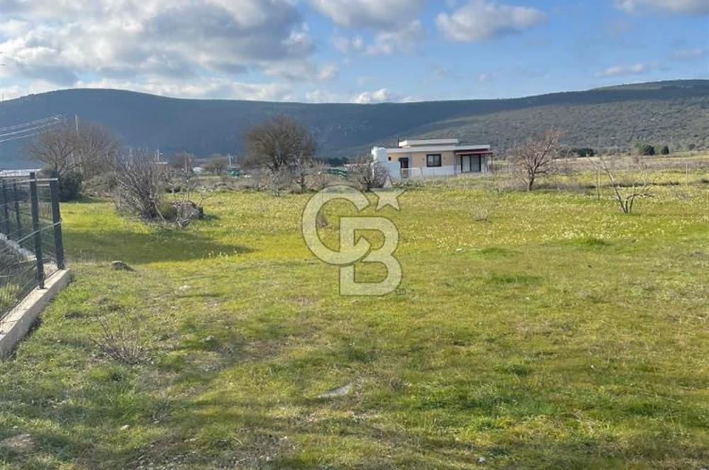Urla Barbaros Köy içi Ata Miras Satılık   585 M2 Tarla