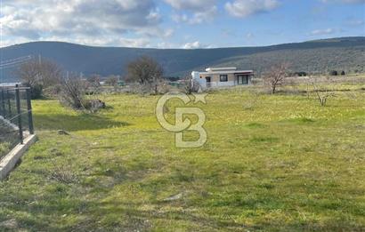 Urla Barbaros Köy içi Ata Miras Satılık   585 M2 Tarla