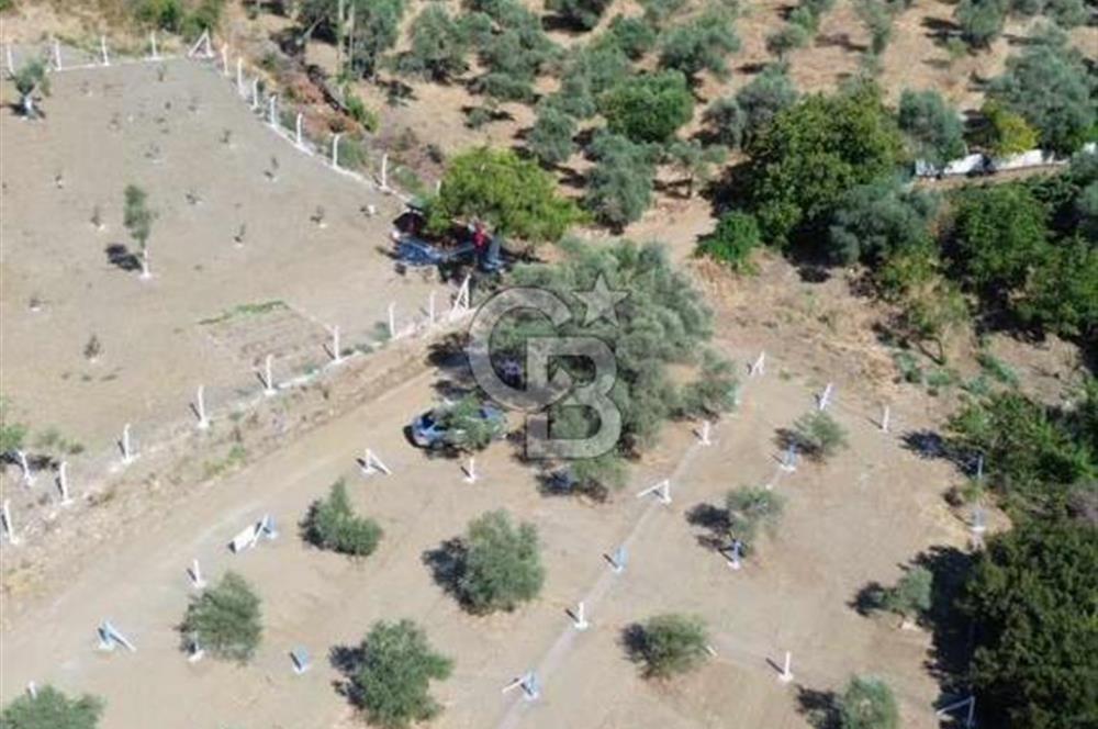 İzmir Torbalı Ormanköy 201 m2 Satılık Hisse Tapu Tarla