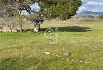 Urla Barbaros Köy içi Ata Miras Satılık   585 M2 Tarla