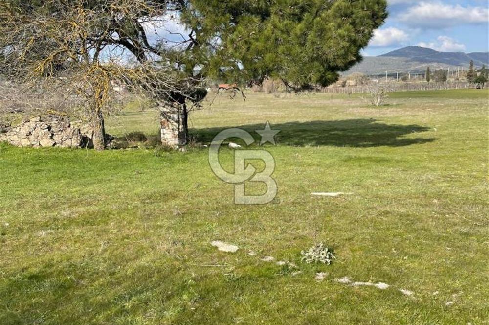 Urla Barbaros Köy içi Ata Miras Satılık   585 M2 Tarla